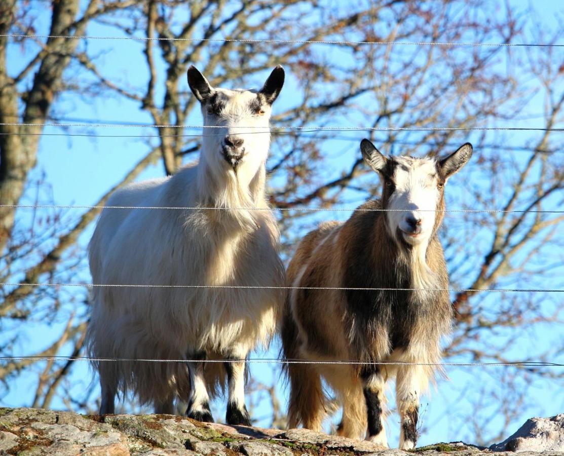 J A Ranch Bed & Breakfast Stromsnasbruk Esterno foto