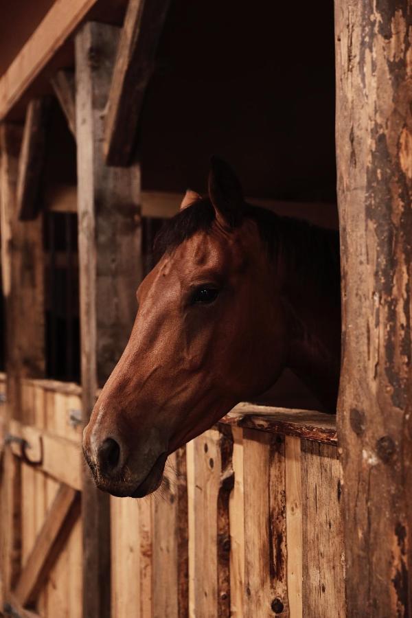 J A Ranch Bed & Breakfast Stromsnasbruk Esterno foto